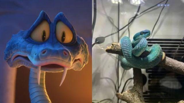 ‘주토피아2’ 열풍에 독사까지?… 게리 닮은 뱀 찾는 중국