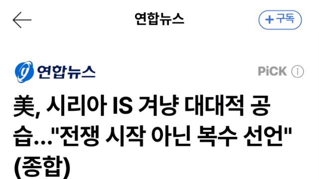 미군, 시리아서 IS에 대대적 '보복' 공습