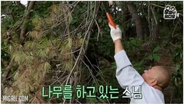 팔다리 잃으신 스님의 삶