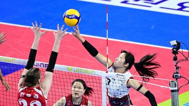 프로배구 현대건설, IBK기업은행 꺾고 6연승 질주