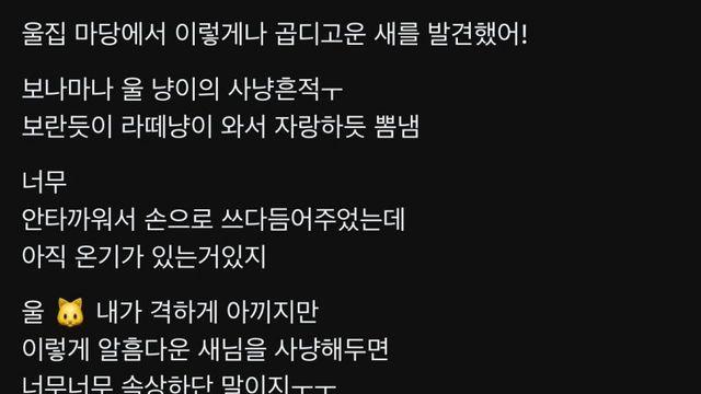 ㅅㄹㄷ) 딥빡) 지 마당고양이한테 죽은 새 불쌍하다는분