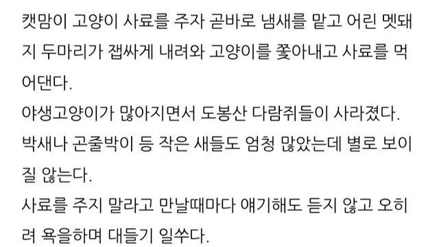 멧돼지 개체수 증가에 공헌하는 캣맘