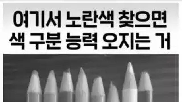 현재 미술 전공자 98%만 맞춘다는 색 구분능력,,