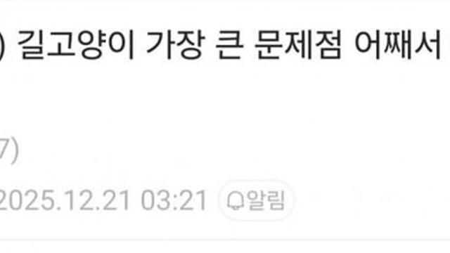 길고양이에게 밥을 주지 말아야하는 이유