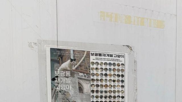 재개발지역 공사현장 길고양이 이동통로