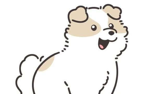 한밤중에 억지로 댕댕이 산책 데려간