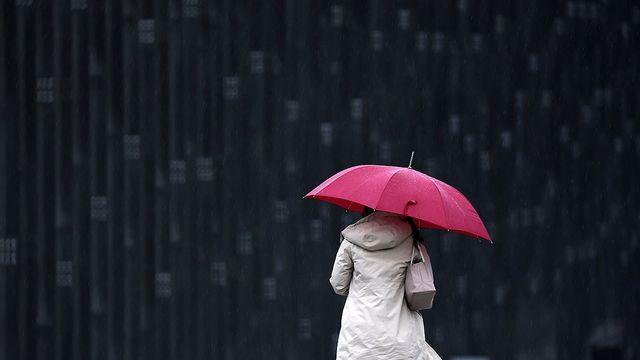 오후부터 전국 비…강원 산지 최대 5㎝ 적설