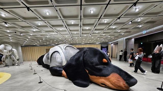 젠틀몬스터 “30개 이상이 99.9% 유사···블루엘리펀트에 법적대응”