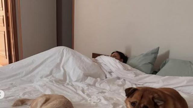 이효리와 60억 평창동 집에서 낮잠 자는 견공들