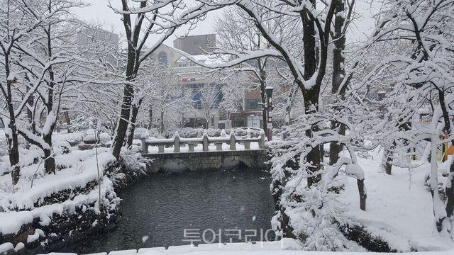 새해 1월 여행 있잖아!  태백산 눈축제·홍천강 꽁꽁축제