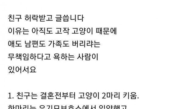 고양이 때문에 남편한테 애 넘기고 이혼하려는 여자