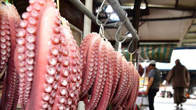 문어가 아무리 제철이라도... '이것' 보이면 절대 먹으면 안 됩니다