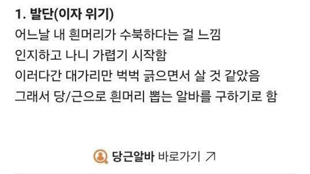 시급 2만원짜리 흰머리 뽑는 알바 채용 후기