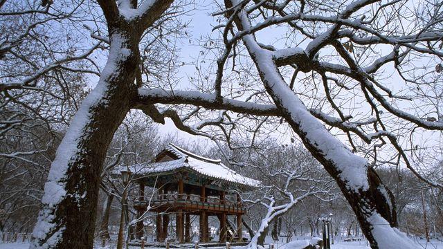 함양군, 내년 체류형 관광 활성화…