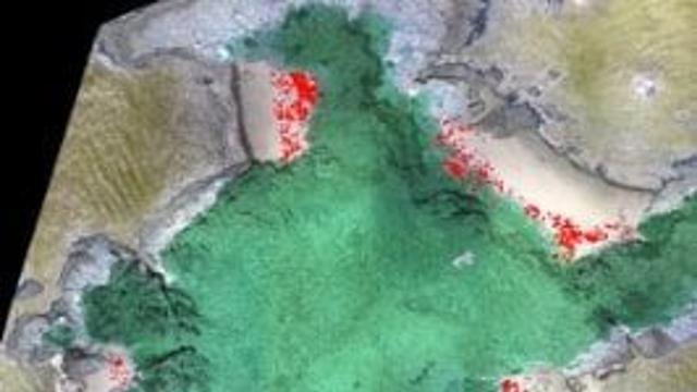 국내 동·남해 무인도 82곳 중 74곳서 해양쓰레기 발견