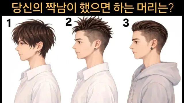 당신의 짝남이 했으면 하는 머리는?