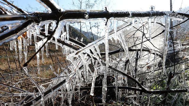 올겨울 들어 가장 추운 강원…향로봉 체감 기온 영하 35.3도