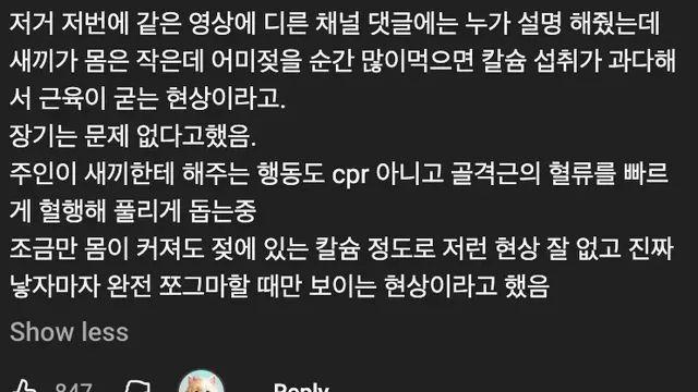 몸이 굳어버린 새끼 강아지.mp4,,