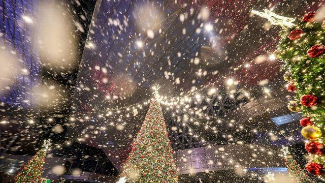 '12월 25일' 메리 크리스마스 뜻은? 전하기 좋은 인사말 20가지