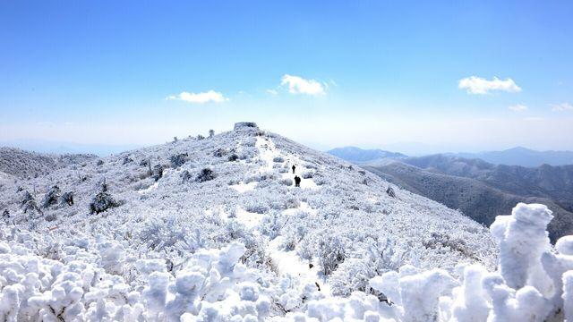 태백에 눈꽃이 피어나면 ‘겨울 동화’가 시작된다!