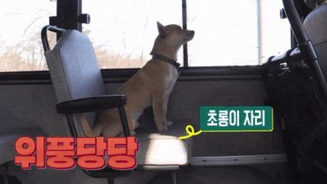 무임승차도 받아주는 시골 인심