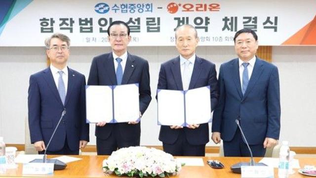 수협, 내년 해조류 생산 증가로 올해 생산량 유지 예상