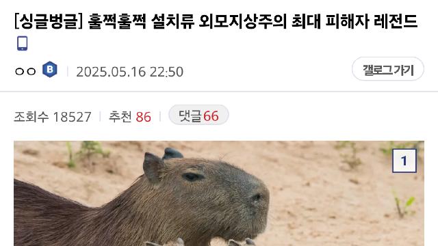 [스압] 설치류 외모지상주의 최대 수혜자&피해자,,