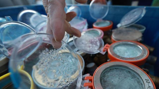 올겨울 '최강한파'에...서울 수도계량기 동파 38건