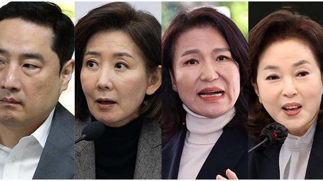 강용석 나경원 이진숙 김민전이 뭉쳤다