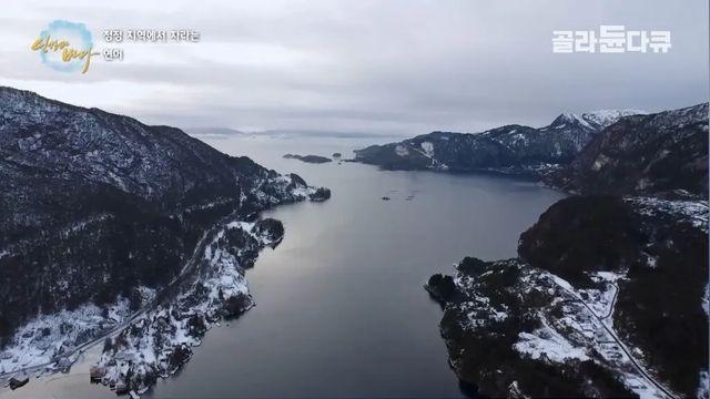 요즘 연어 에서 기생충 걱정이 사라진 이유 