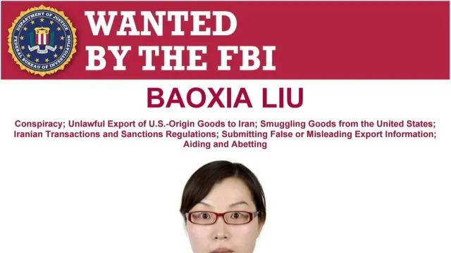 잡으면 205억 주는 아줌마 ㄷㄷ