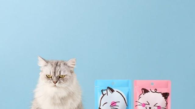 “씹으면서 관리”…동아제약, 고양이 구강건강 스낵 출시