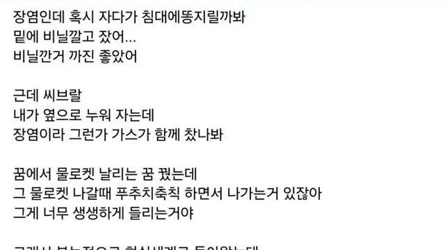 장염 걸려서 똥 지릴까봐 비닐 깔았다는 사람.jpg,,