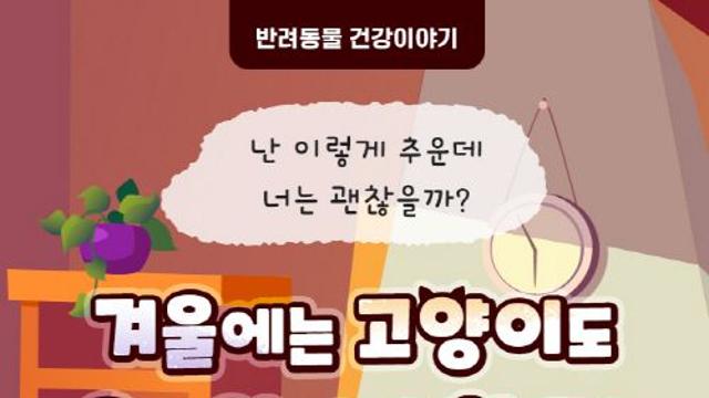 [반려동물 건강이야기] 겨울에는 고양이도 옷을 입어야 할까?