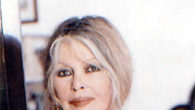 ‘구육 비판’ 佛 배우 브리지트 바르도 별세