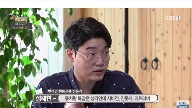 작은 댕댕이 증후군.jpg