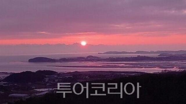 경기 바다향기수목원에서 올 한해 마무리 하세요!