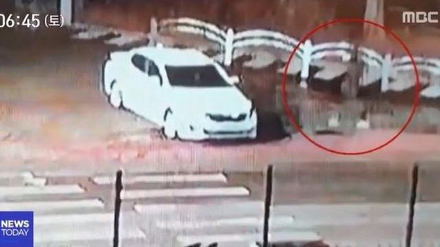 “금 100돈 살게요” 부르고 살해, 교도소에서 또 살해 [그해 오늘]