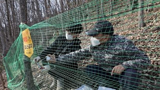 [이슈PICK+] 가축 전염병에 농작물 피해까지···야생동물 확산에 농가 ‘울상’