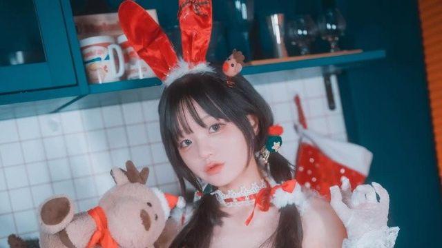 집고양이 분짱의 일년.manhwa