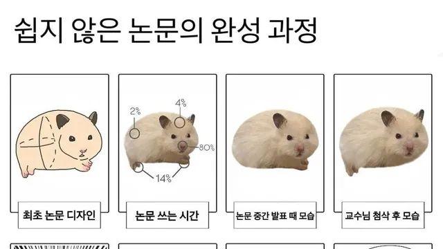 쉽지 않은 논문의 완성 과정,,