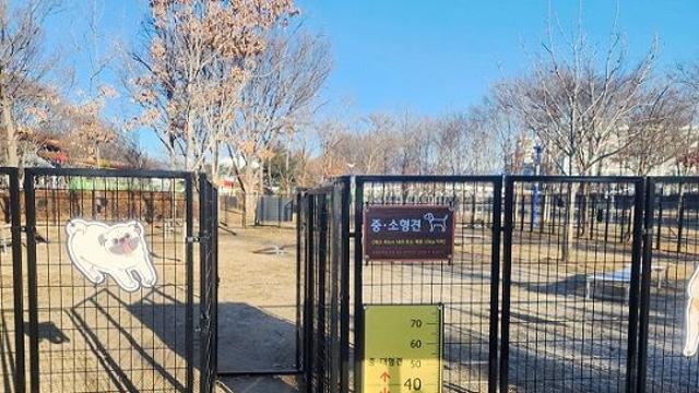 양구군, ‘반려견 자연 놀이터’ 조성 완료