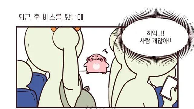 시내버스 지정석 논란