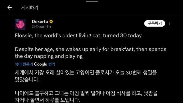기네스북에서 인정 받은  30살 고양이 ㄷㄷ