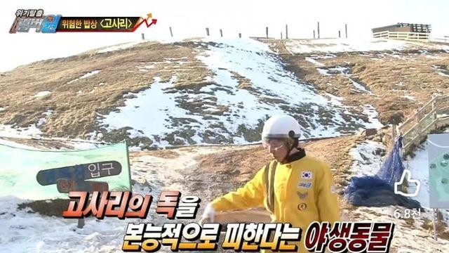 고사리 안먹는 이유