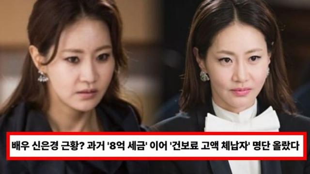 배우 신은경 근황? 과거 '8억 세금' 이어 '건보료 고액 체납자' 명단 올랐다 (+거짓 모성애 논란, 아들, 나이)
