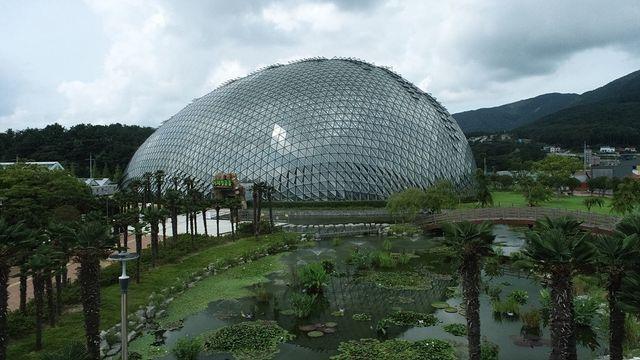 '한국관광 100선' 거제식물원 새해 첫날 정상 운영