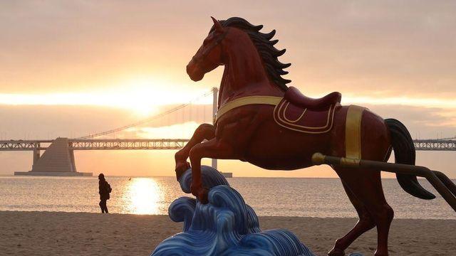 월급부터 운전면허까지...2026년에 바뀌는 것은?