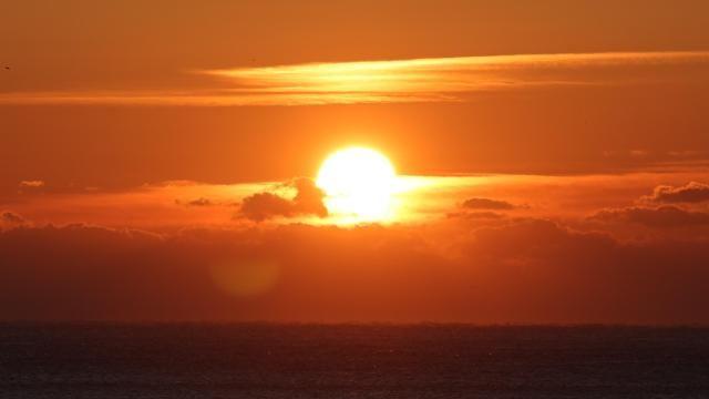 冬尽春生 稳中再启 韩中共迎2026丙午年