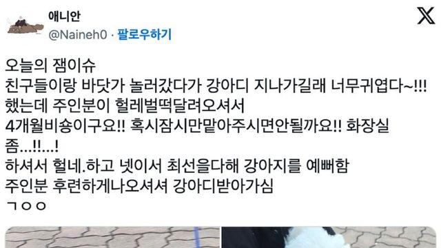 강아지 예쁘다고 했는데 저한테 왜 이러세요